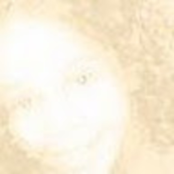 Meet your Posher, Lོaོ - Picture 1 of 1